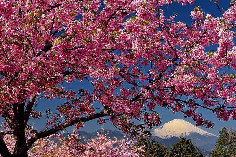 Hakone Pacific Hotel Екстериор снимка