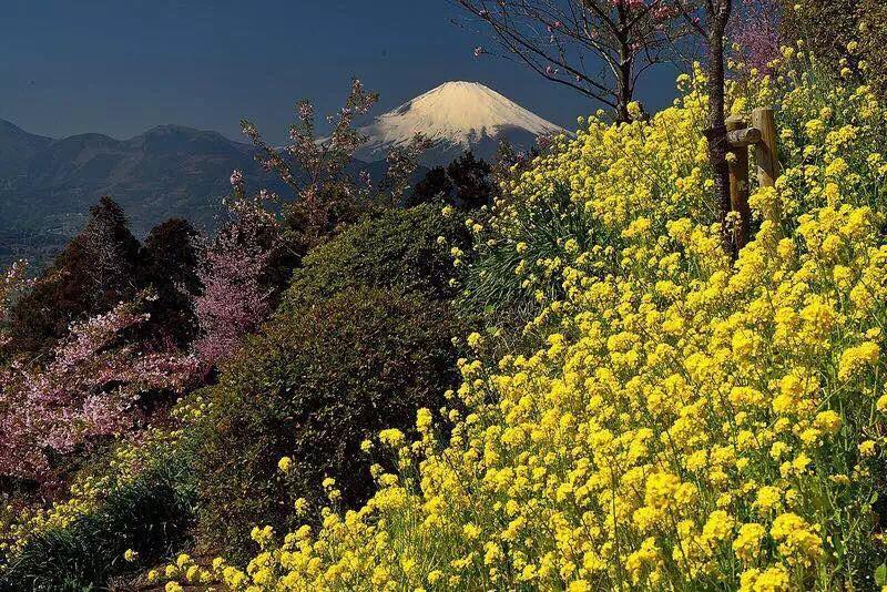 Hakone Pacific Hotel Екстериор снимка