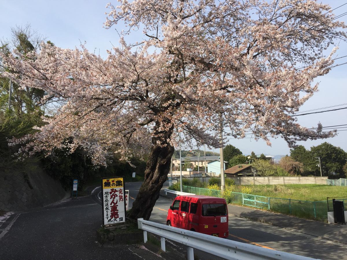 Hakone Pacific Hotel Екстериор снимка