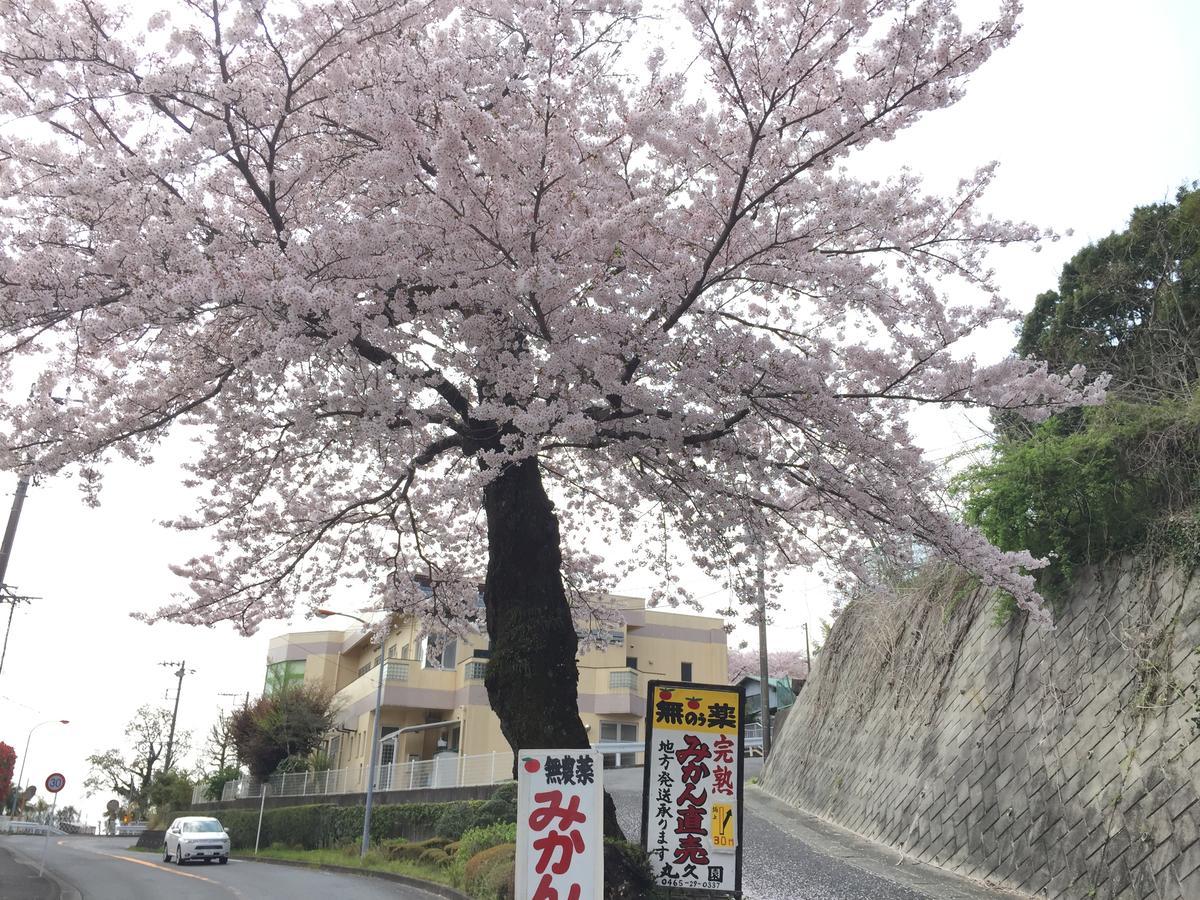 Hakone Pacific Hotel Екстериор снимка